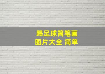 踢足球简笔画图片大全 简单